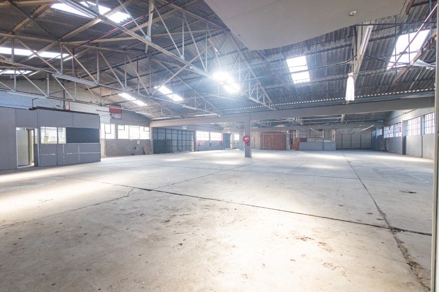 To Let Commercial Property for Rent in Epping Industrial Western Cape